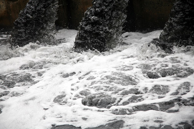 Hà Nội: Nước ô nhiễm nặng, bốc mùi nồng nặc vẫn phải bơm lên tưới cho hoa màu